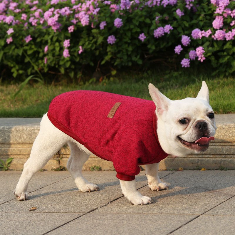 Classic Cammie Sweater - PawPlaza