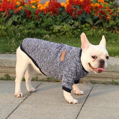 Classic Cammie Sweater - PawPlaza
