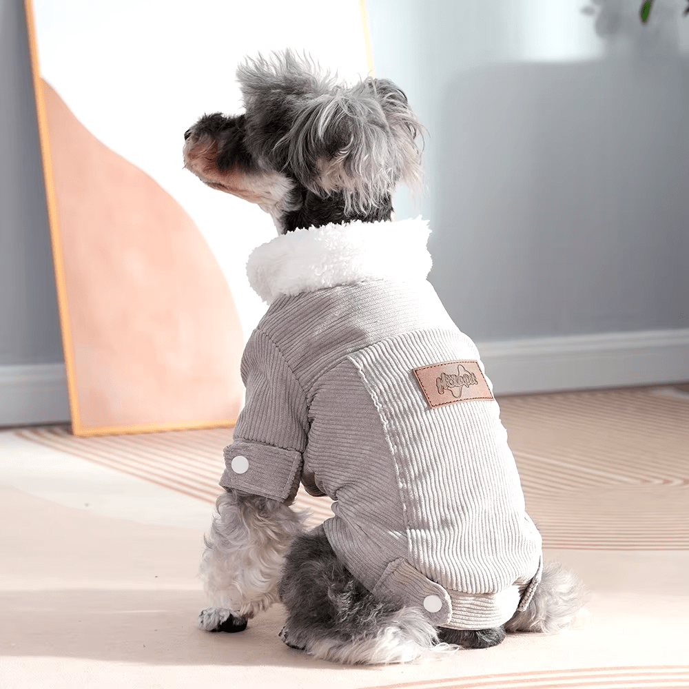 Corduroy Korean Fleece Jacket - PawPlaza