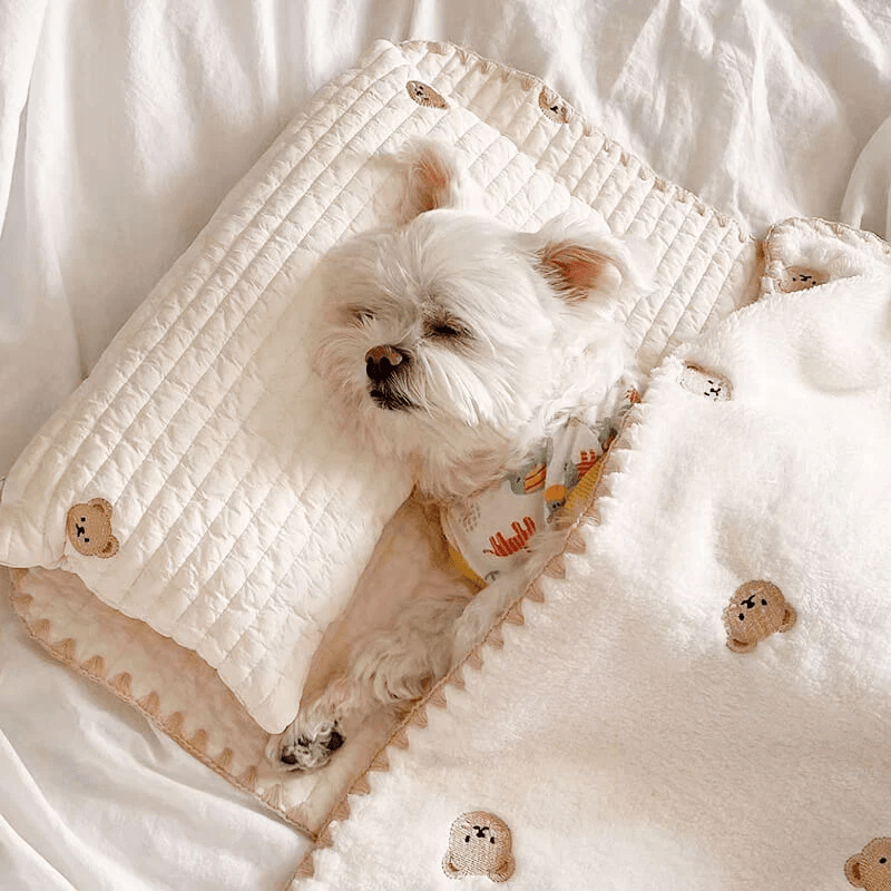 Cozy Embroidered Cotton Pillow Bed Set - PawPlaza