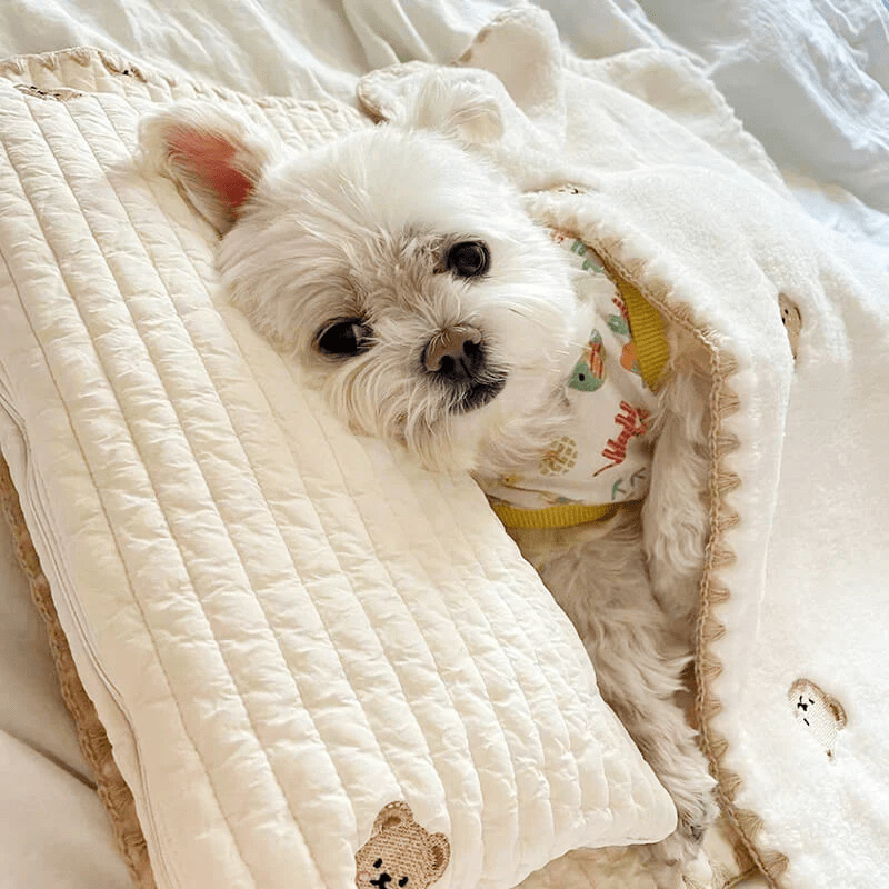 Cozy Embroidered Cotton Pillow Bed Set - PawPlaza