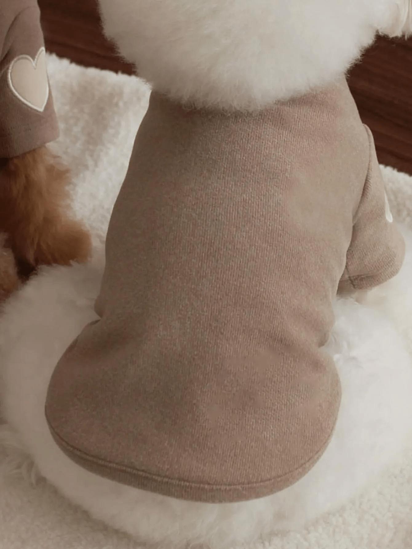 Cozy Heart Sweater - PawPlaza