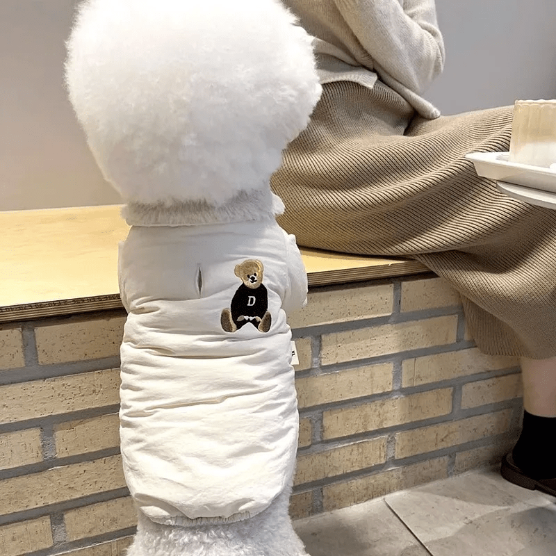 Cozy Teddy Bear Winter Jacket - PawPlaza
