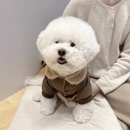 Cozy Teddy Bear Winter Jacket - PawPlaza