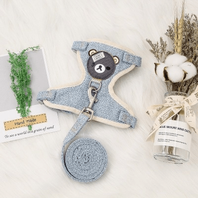 Cute Cartoon Bear Harness - PawPlaza