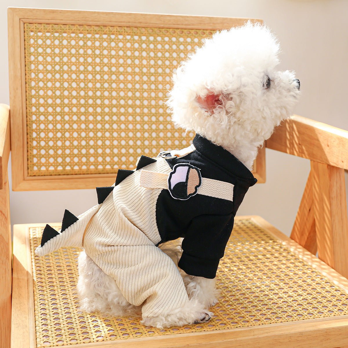 Cute Dino Corduroy Overall - PawPlaza