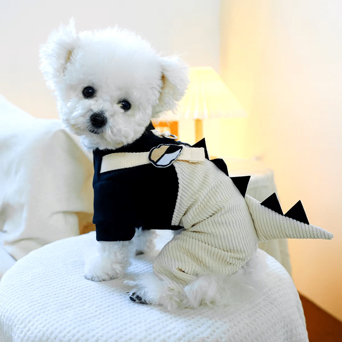 Cute Dino Corduroy Overall - PawPlaza