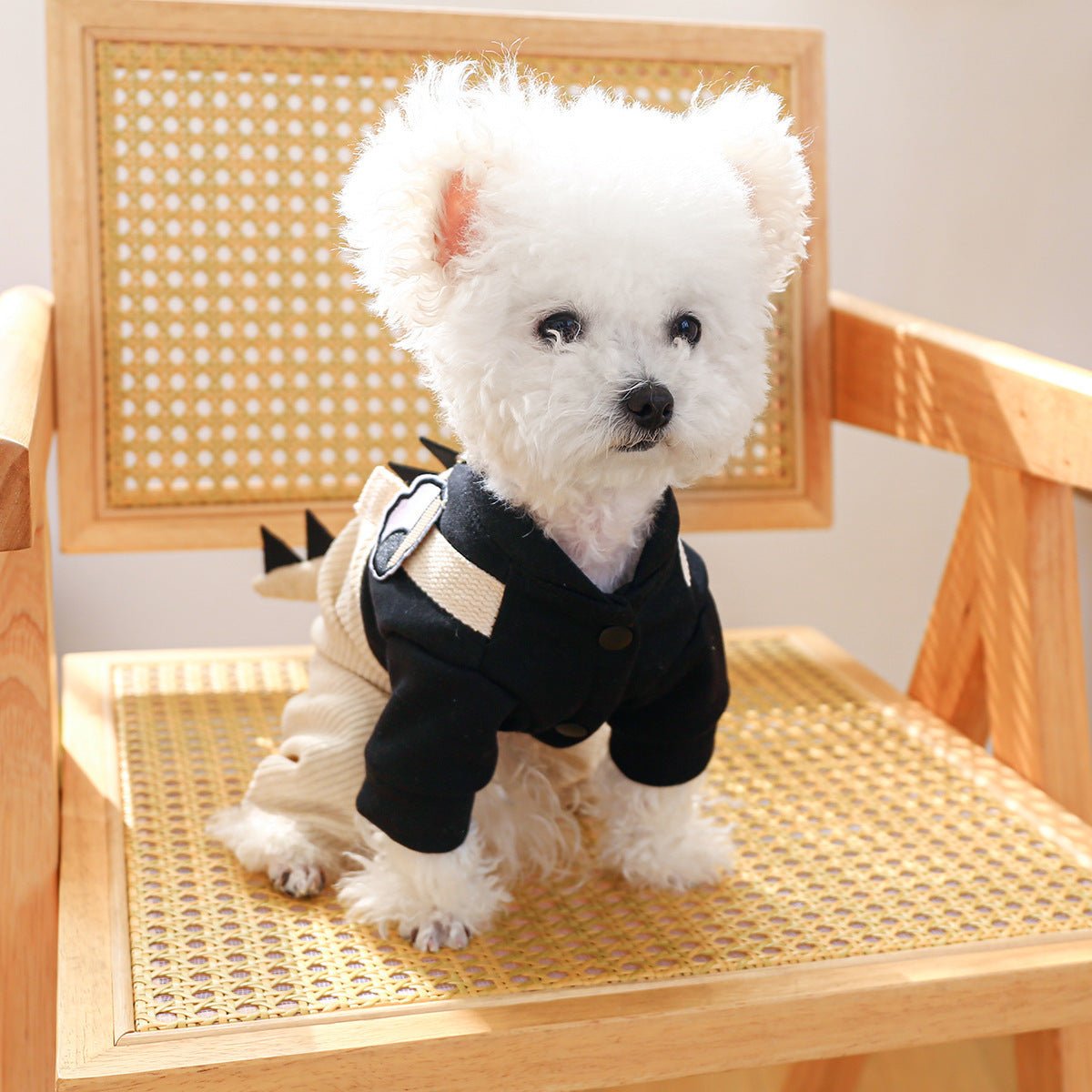 Cute Dino Corduroy Overall - PawPlaza