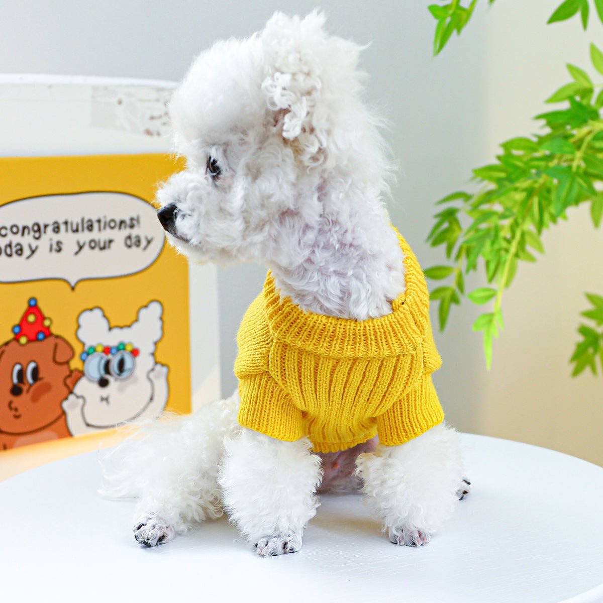 Cute Dino Knit Sweater - PawPlaza
