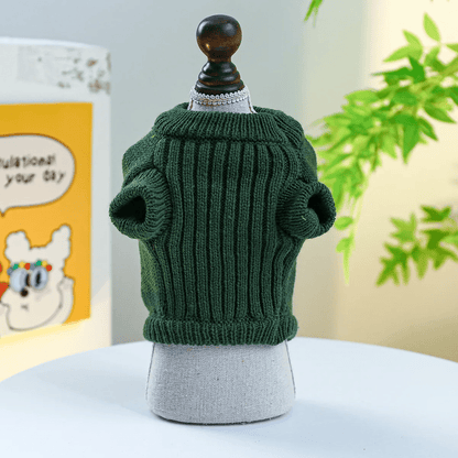 Cute Dino Knit Sweater - PawPlaza