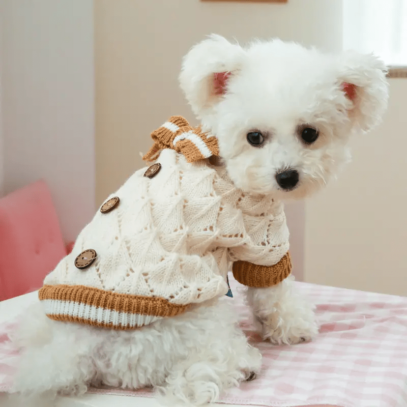 Cute Knitted Bow Sweater - PawPlaza