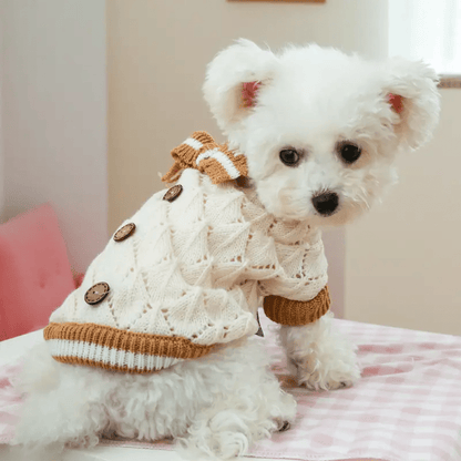 Cute Knitted Bow Sweater - PawPlaza