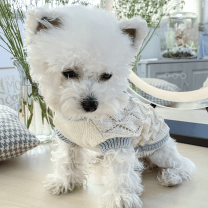 Cute Knitted Bow Sweater - PawPlaza