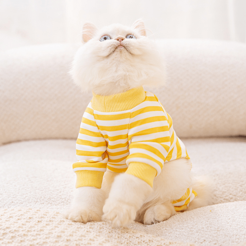 Cute Striped Lounge Wear - PawPlaza