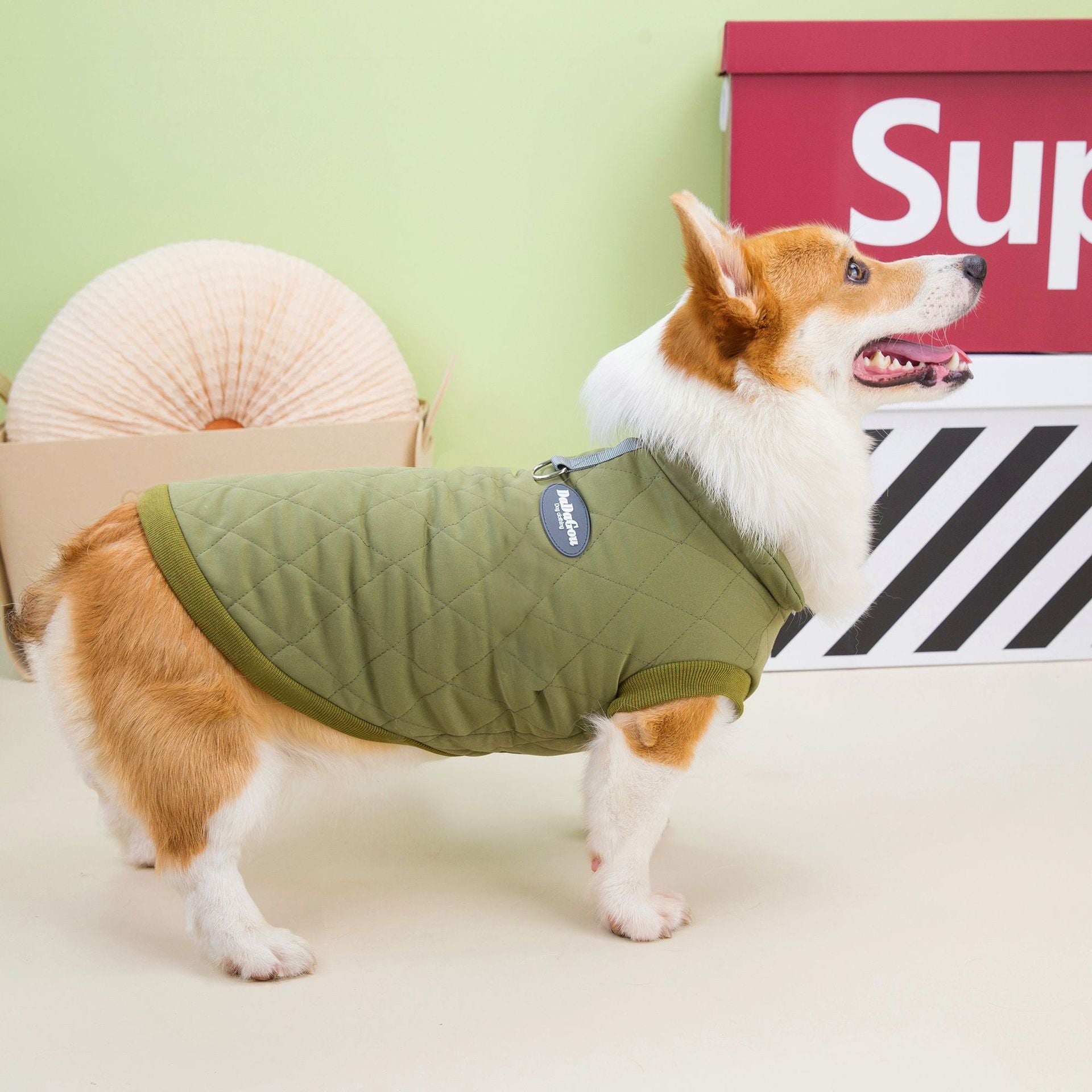 Dachshund Corgi Argyle Cotton - Padded Vest - PawPlaza