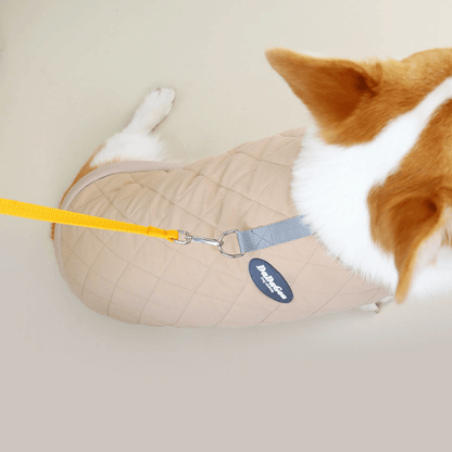 Dachshund Corgi Argyle Cotton - Padded Vest - PawPlaza