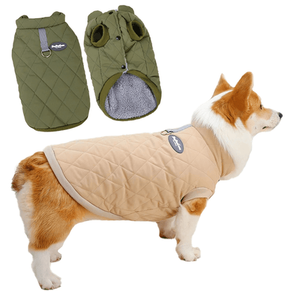 Dachshund Corgi Argyle Cotton - Padded Vest - PawPlaza