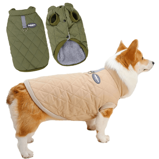 Dachshund Corgi Argyle Cotton - Padded Vest - PawPlaza