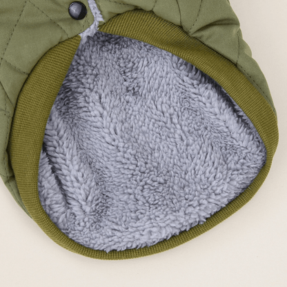 Dachshund Corgi Argyle Cotton - Padded Vest - PawPlaza