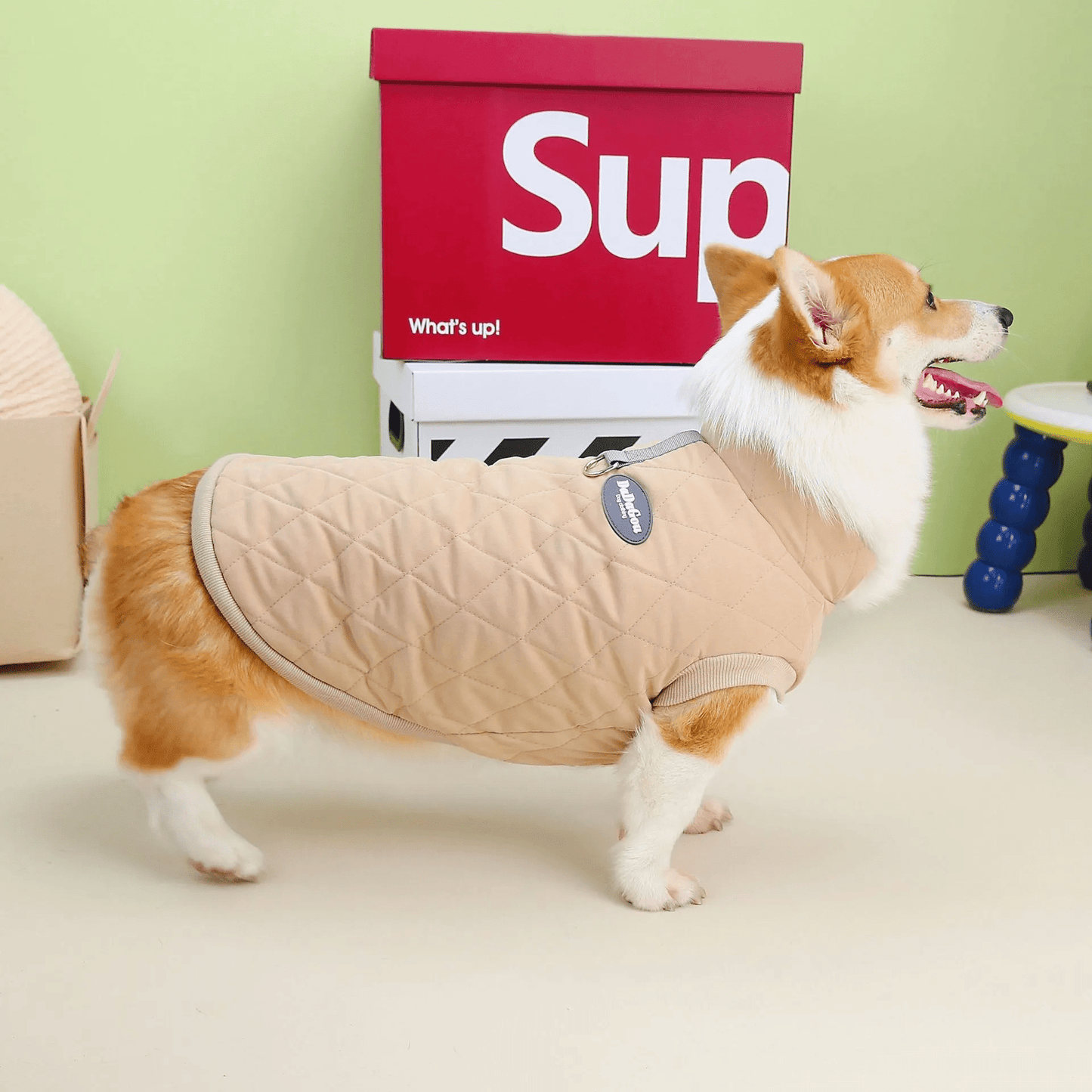 Dachshund Corgi Argyle Cotton - Padded Vest - PawPlaza