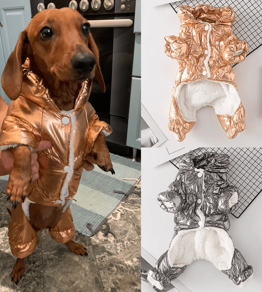Dachshund Corgi Champagne Puffer Suit - PawPlaza
