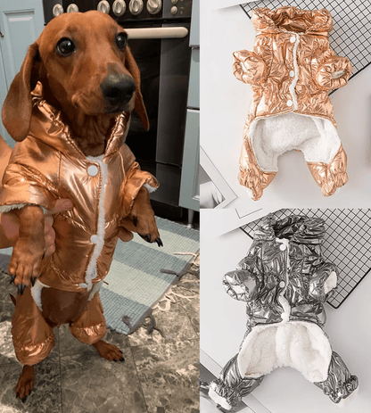 Dachshund Corgi Champagne Puffer Suit - PawPlaza