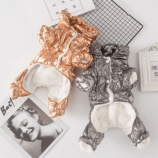 Dachshund Corgi Champagne Puffer Suit - PawPlaza