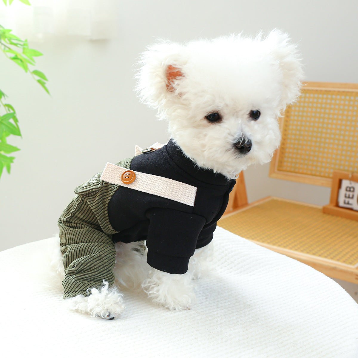 Dapper Pup Corduroy Overalls - PawPlaza