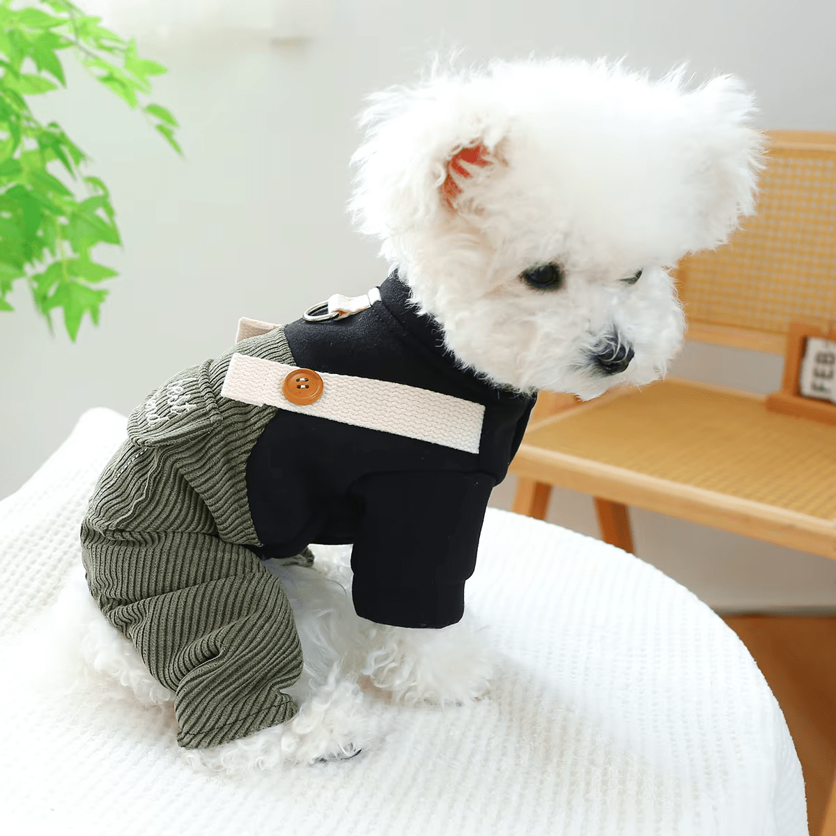 Dapper Pup Corduroy Overalls - PawPlaza