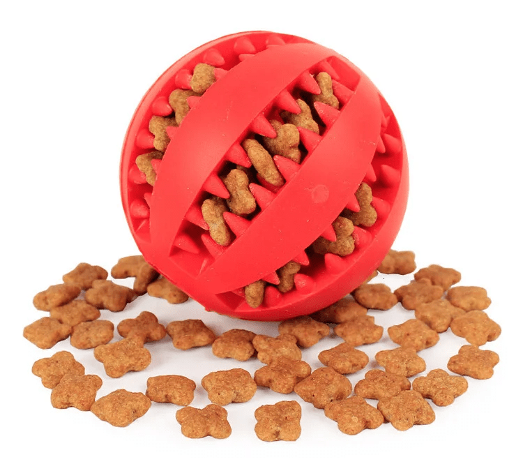 Extra - Tough Tooth Cleaning Rubber Treat Ball - PawPlaza