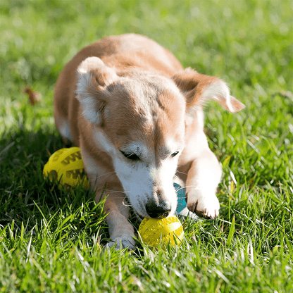 Extra - Tough Tooth Cleaning Rubber Treat Ball - PawPlaza