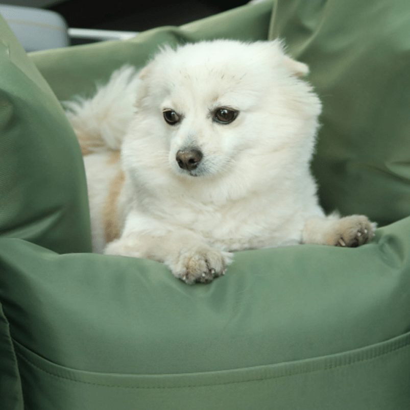First Class Pet Car Seat - PawPlaza