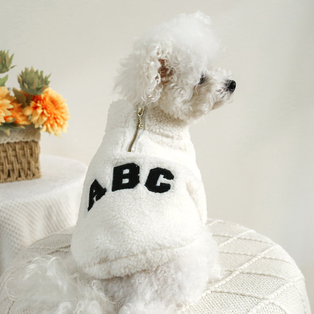 Fluffy ABC Zipper Jacket - PawPlaza