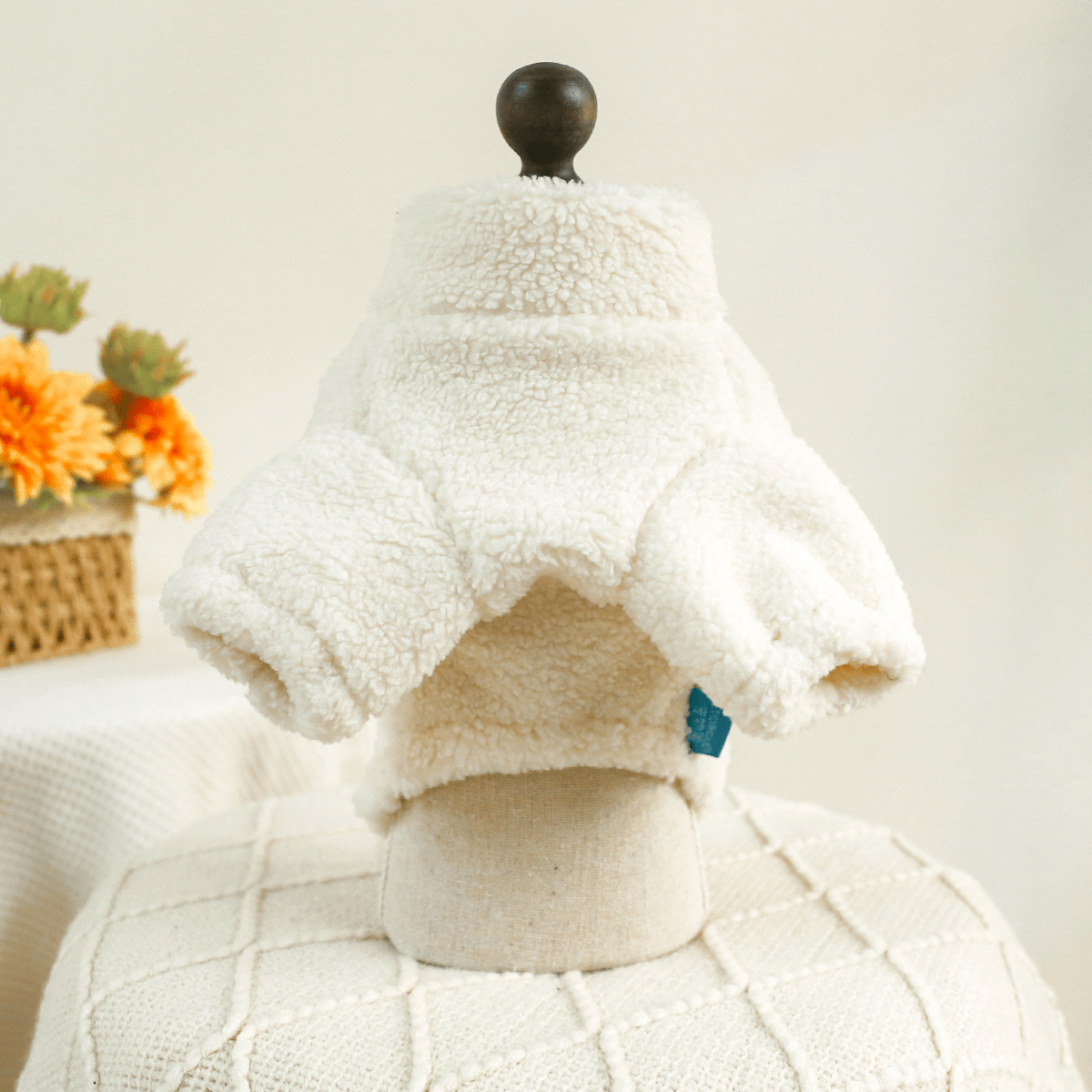 Fluffy ABC Zipper Jacket - PawPlaza