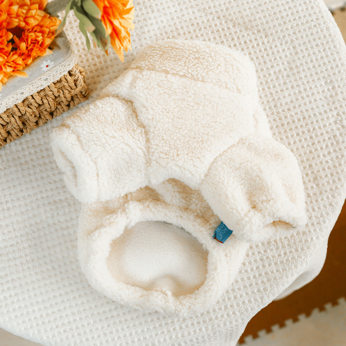 Fluffy ABC Zipper Jacket - PawPlaza