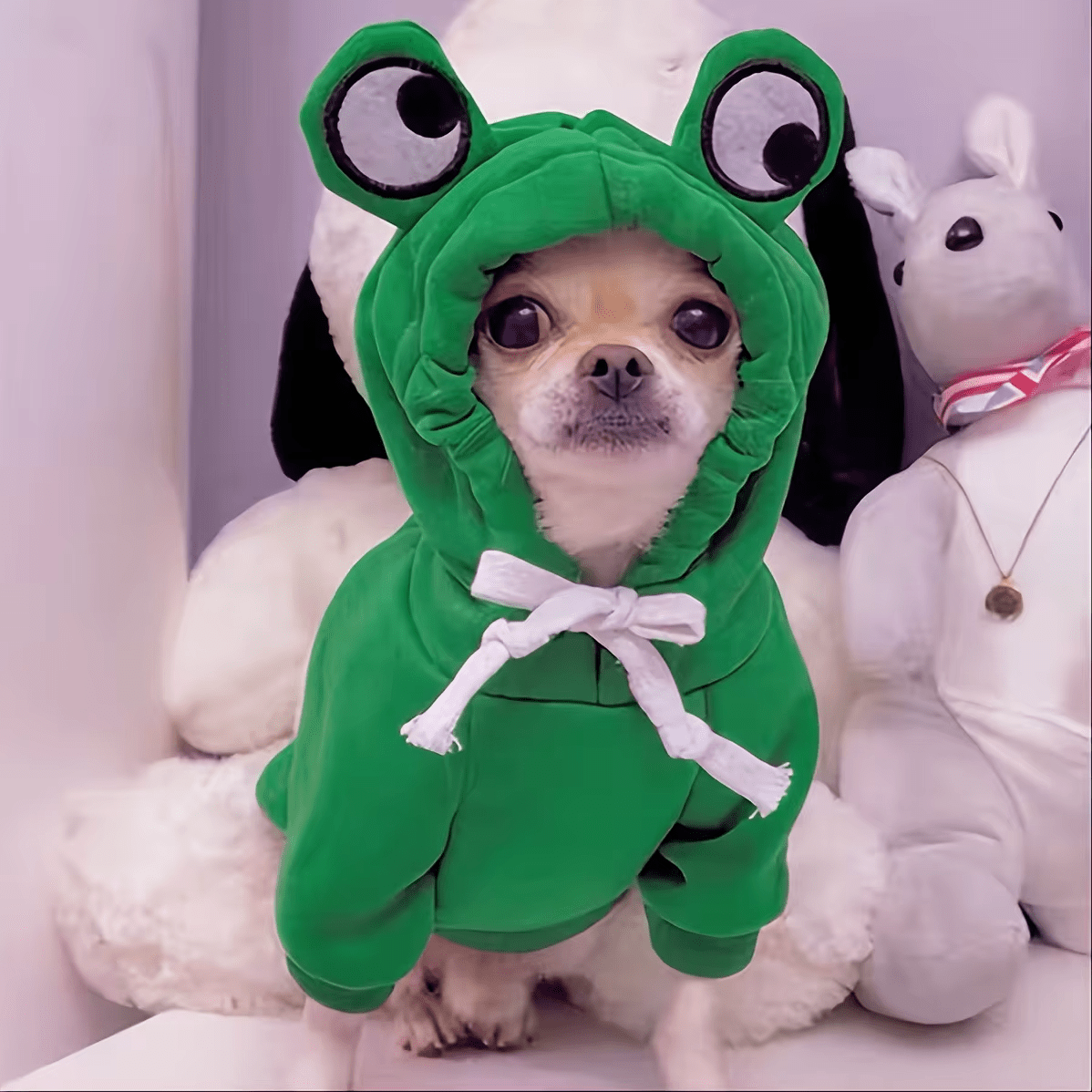 Frog Hoodie Pet Costume - PawPlaza