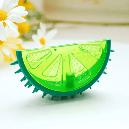 Frozen Fruit Ice Chew Toy - PawPlaza