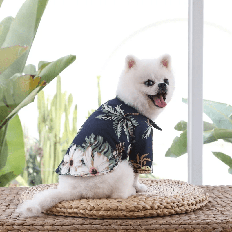 Hawaiian Beach T-Shirt - PawPlaza
