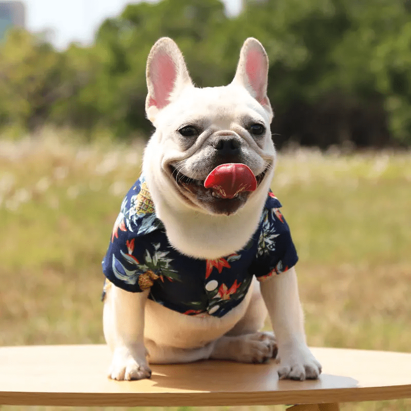 Hawaiian Beach T-Shirt - PawPlaza