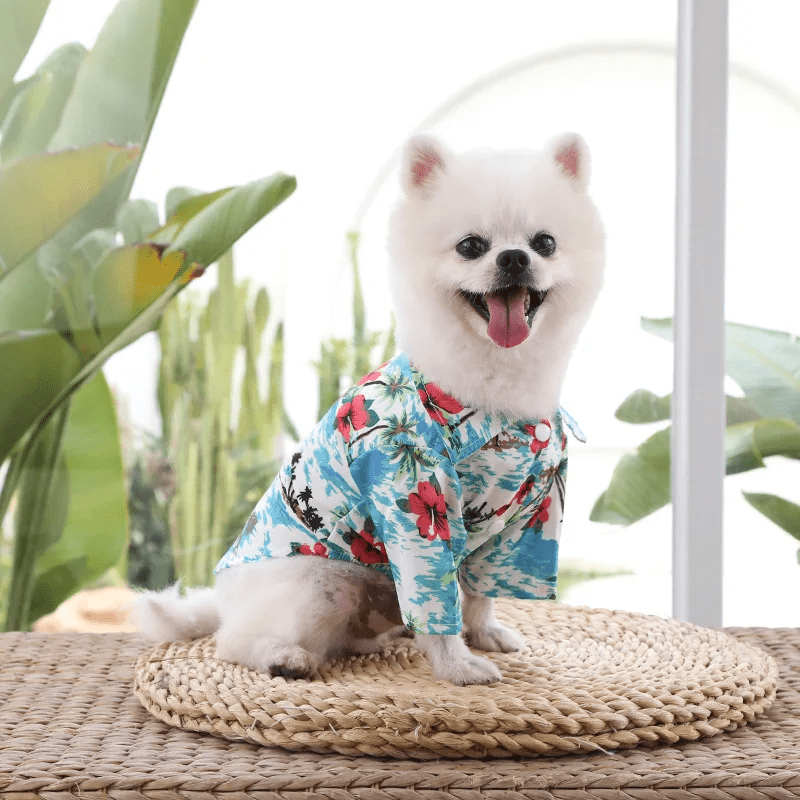 Hawaiian Beach T-Shirt - PawPlaza