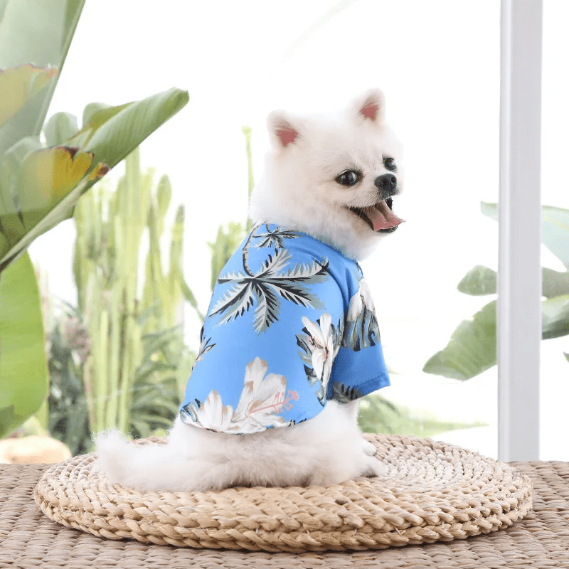 Hawaiian Beach T-Shirt - PawPlaza