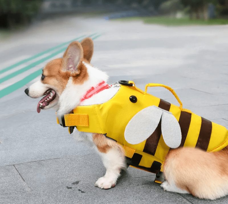 Honey Bee Dog Life Jacket - PawPlaza