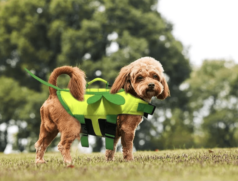 Honey Bee Dog Life Jacket - PawPlaza