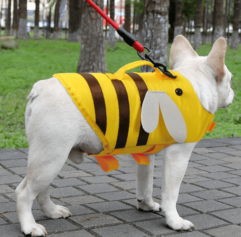 Honey Bee Dog Life Jacket - PawPlaza