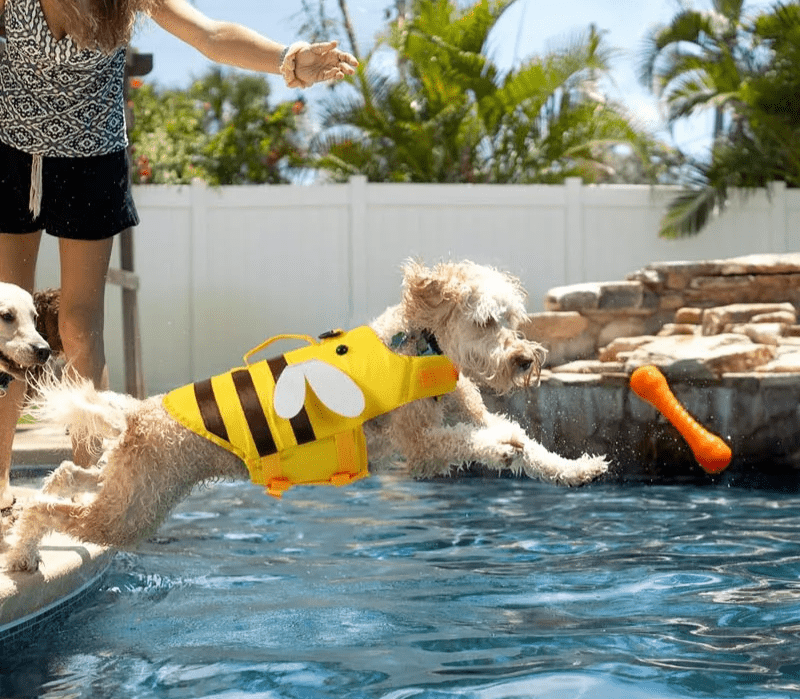 Honey Bee Dog Life Jacket - PawPlaza