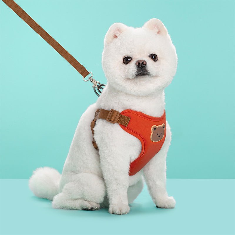 HoneyBear Hug Harness - PawPlaza