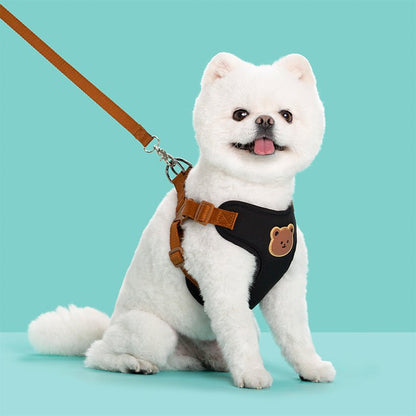 HoneyBear Hug Harness - PawPlaza
