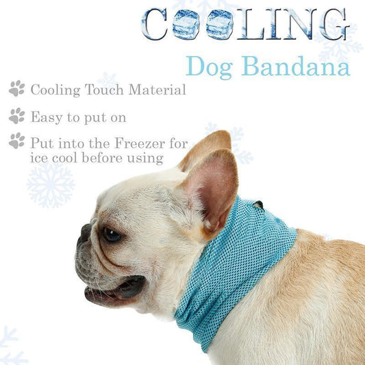 Ice Kiss Bandana Cooling Scarf - PawPlaza
