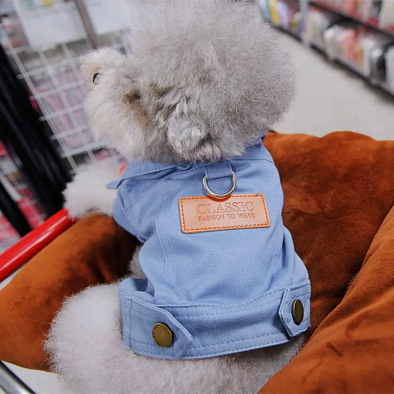 Spring Denim Jacket