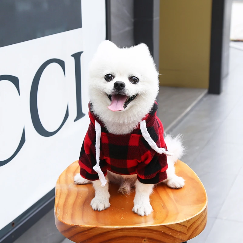 Colorful Checked Hoodie Sweater